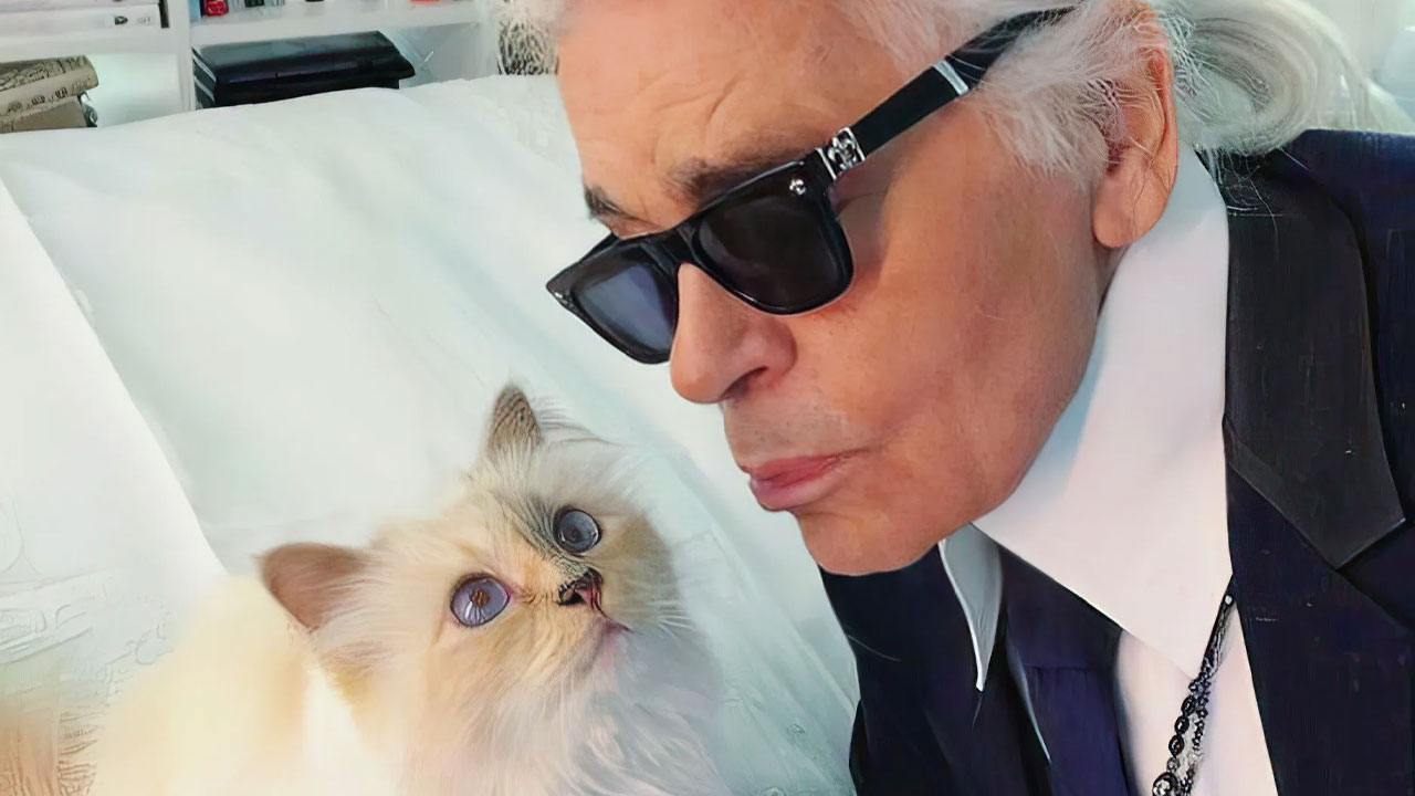 Karl Lagerfeld'in kedisinin 7 yıllık miras mücadelesi