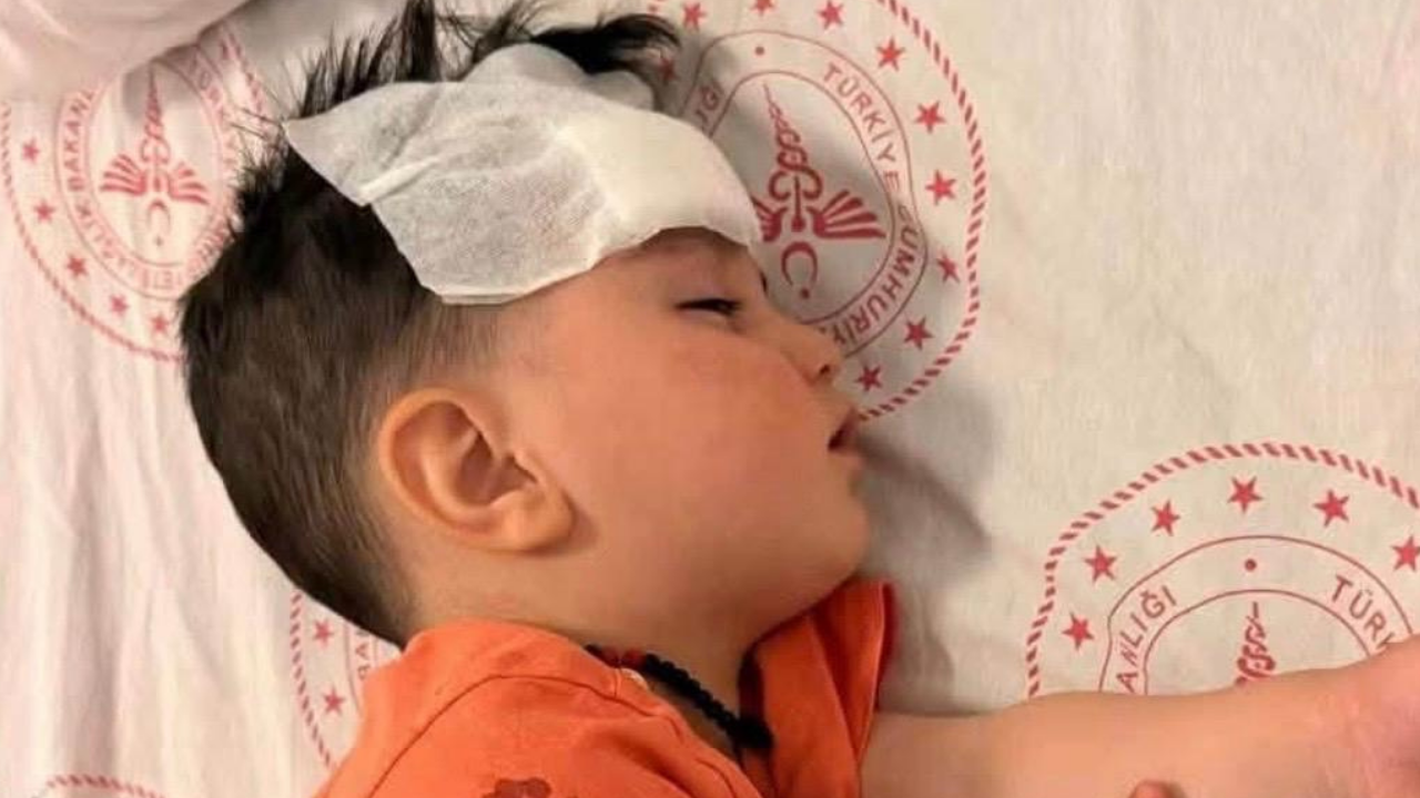 Başıboş köpekler 1.5 yaşındaki çocuğa saldırarak yaraladı!