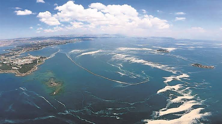2.5 derece ısınan Marmara Denizi'nde kolera tehlikesi!